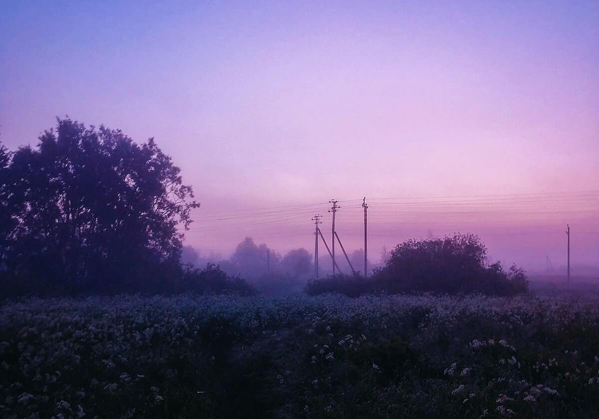 5200人主场沸腾,德甲C位加冕,樊振东凭什么让一座城倾尽全力
